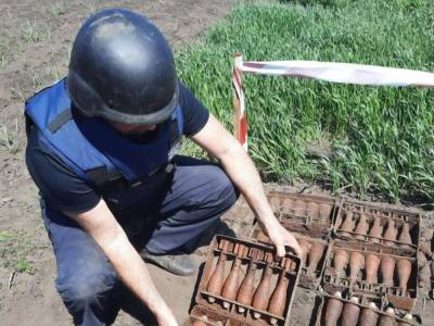 163 мины и артснаряда. Житель Харьковской области выкопал в огороде арсенал времен Второй мировой войны - gordonua.com - Харьковская обл.