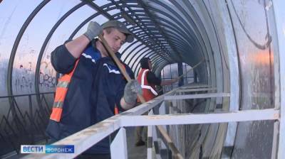Коммунальщики отмыли надземный переход на Московском проспекте в Воронеже - vestivrn.ru - Воронеж