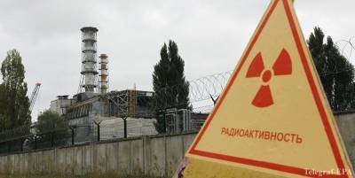 СБУ заблокировала первую партию самогона ATOMIK компании Chernobyl Spirit из яблок, выращенных близ ЧАЭС - ТЕЛЕГРАФ - telegraf.com.ua