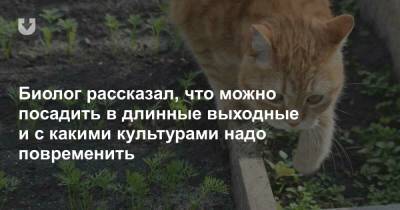 Биолог рассказал, что можно посадить в длинные выходные и с какими культурами надо повременить - news.tut.by