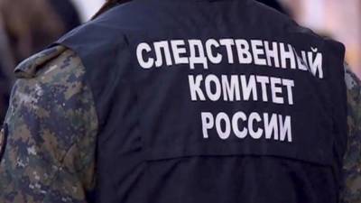 Мария Базарева - Житель Свердловской области записывал на видео секс с 16-летней подругой - nation-news.ru - Свердловская обл.