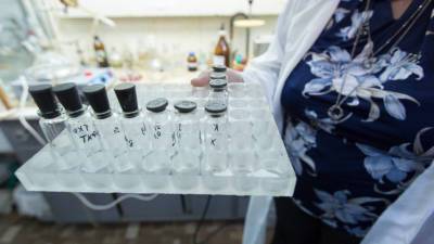 Диоксид титана лучше не есть: добавка Е-171 больше не считается в Европе безопасной - mir24.tv