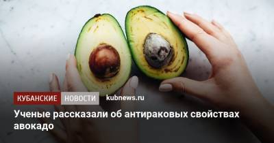 Ученые рассказали об антираковых свойствах авокадо - kubnews.ru