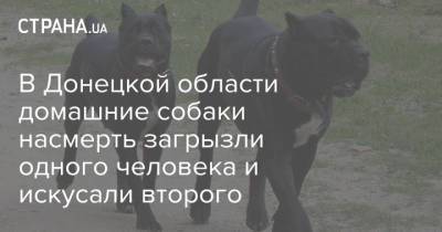 В Донецкой области домашние собаки насмерть загрызли одного человека и искусали второго - strana.ua - Мирноград - Донецкая обл.