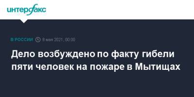 Ольга Врадий - Дело возбуждено по факту гибели пяти человек на пожаре в Мытищах - interfax.ru - Москва - Мытищи