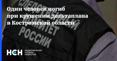 Один человек погиб при крушении дельтаплана в Костромской области - nsn.fm - Костромская обл. - Кострома - район Костромской