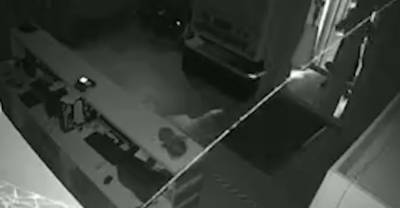 Полный провал: два горе-грабителя вынесли из магазина полную сумку муляжей и "засветили" лица на камеру - reendex.ru - Кемерово