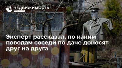 Эксперт рассказал, по каким поводам соседи по даче доносят друг на друга - realty.ria.ru - Москва