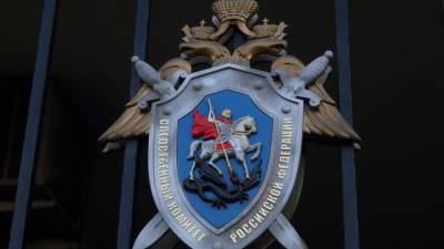 Светлана Петренко - СК России поможет ФРГ в расследовании преступлений нацистов в годы войны - russian.rt.com