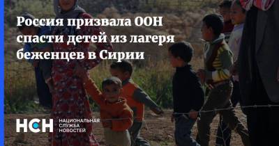 Стефан Дюжаррик - Россия призвала ООН спасти детей из лагеря беженцев в Сирии - nsn.fm - Сирия