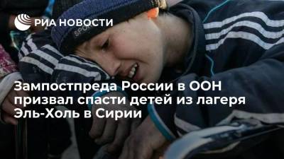 Стефан Дюжаррик - Зампостпреда России в ООН призвал спасти детей из лагеря Эль-Холь в Сирии - ria.ru - Россия - США - Сирия