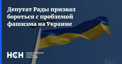 Вадим Рабинович - Депутат Рады призвал бороться с проблемой фашизма на Украине - nsn.fm - Украина