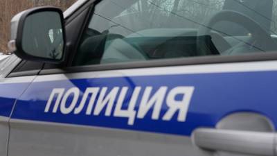 В Кургане четырехлетний ребенок пропал во время прогулки - iz.ru - Курган