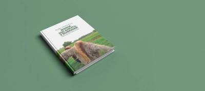 WoMo-книга: Жінки, що біжать з вовками. Архетип Дикої жінки у міфах та легендах - skuke.net - New York
