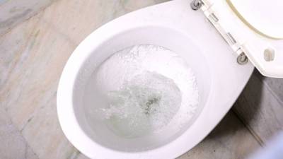 Опасность в общественных туалетах: куда долетают брызги из унитазов - vesty.co.il - state Florida