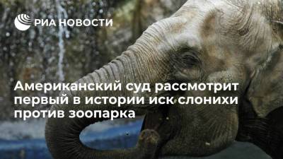 Американский суд рассмотрит первый в истории иск слонихи против зоопарка - ria.ru - Москва - США - Нью-Йорк - Нью-Йорк