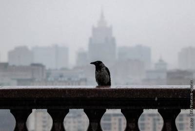 Дождь в московском регионе будет идти до утра воскресенья - interfax.ru - Москва