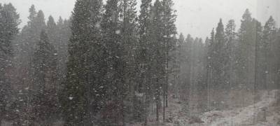 Сильные дожди со снегом обрушатся на север и запад Карелии в ближайшие часы - stolicaonego.ru - район Суоярвский - республика Карелия