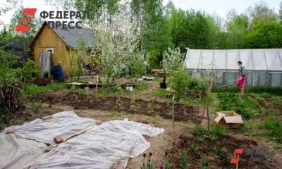 Врач рассказала, как работать на огороде дачникам-сердечникам - fedpress.ru - Москва