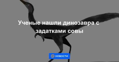 Ученые нашли динозавра с задатками совы - news.mail.ru - Монголия