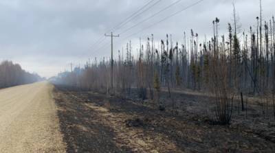 В Канаде бушует лесной пожар, более тысячи гектаров уже уничтожены - ru.slovoidilo.ua - Канада - Эдмонтон