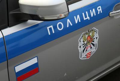 Полиция Петербурга разыскивает мужчину, ударившего школьницу ножом - neva.today - Санкт-Петербург - район Петроградский