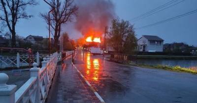 В Боярке сгорел приют для бездомных - tsn.ua - Боярка