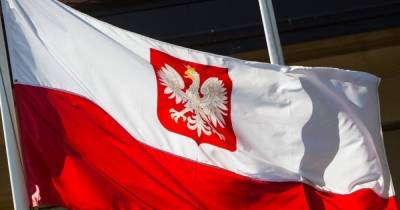 Польские пограничники задержали контрабанду на сумму больше восьми миллионов евро - klops.ru