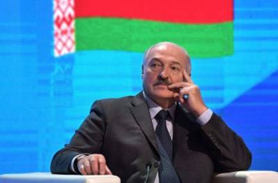 Александр Лукашенко - Игорь Додон - Лукашенко рассказал о своей ферме со страусами - from-ua.com - Молдавия