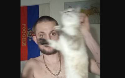 Владимир Бурматов - В Госдуме проверяют видео издевательств жителя Твери над котом - govoritmoskva.ru - Москва - Тверь