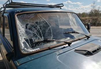Сообщаем подробности страшного ДТП в Вологодской области с 11-летним велосипедистом - vologda-poisk.ru - Вологодская обл. - Вологда