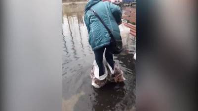 Опубликовано видео с подтопления после дождей в Тосно - piter.tv - район Тосненский