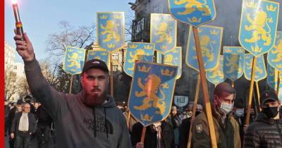 Неонацистский марш по Москве и Донецку анонсировали украинские радикалы - profile.ru - Москва - Украина - Киев - Львов - Донецк