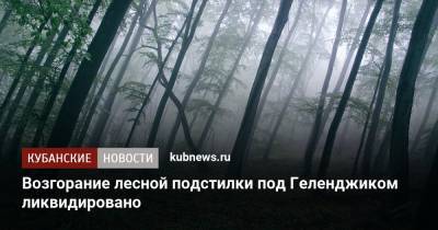 Возгорание лесной подстилки под Геленджиком ликвидировано - kubnews.ru - Краснодарский край - Краснодар - Геленджик