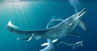 Ученые описали одного из самого крупного ихтиозавра, жившего 250 млн лет назад (фото) - focus.ua - Швейцария
