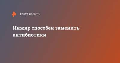 Инжир способен заменить антибиотики - ren.tv - Санкт-Петербург - Воронеж - Казань