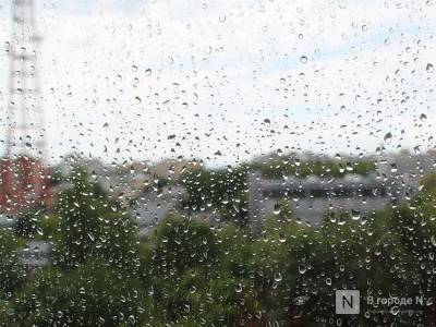 Дожди и потепление до +17°С придут в Нижний Новгород в предстоящие выходные - vgoroden.ru - Нижний Новгород - Нижний Новгород