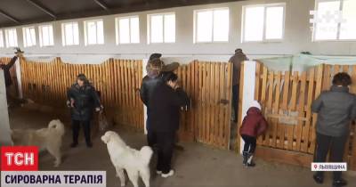 Ферма и сыроварня: во Львовской области священник учит работе людей с инвалидностью - tsn.ua - Львовская обл.