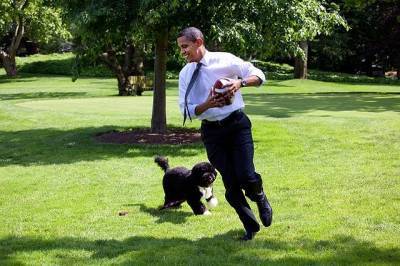 Барак Обама - Мишель Обама - Джо Байден - Барак Обама сообщил о смерти своей собаки - aif.ru