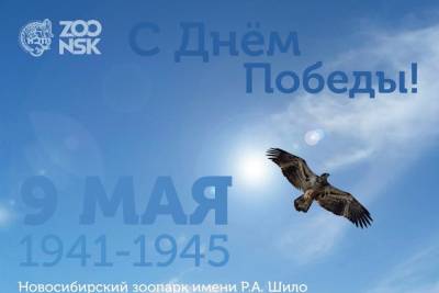 Ретровыставка автомобилей в честь Дня Победы пройдет 9 мая в Новосибирском зоопарке - novos.mk.ru - Новосибирск