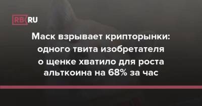 Маск взрывает крипторынки: одного твита изобретателя о щенке хватило для роста альткоина на 68% за час - skuke.net