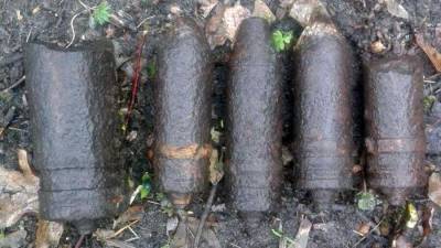 С начала года МЧС обезвредило 861 боеприпас времен ВОВ - iz.ru - окр. Скфо