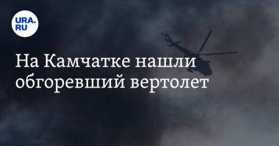 На Камчатке нашли обгоревший вертолет - ura.news - Петропавловск-Камчатский - Елизово