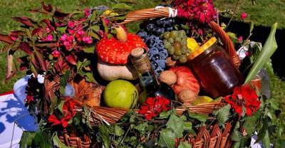Владимир Смирнов - Какие продукты могут подорожать: экономист привёл несколько примеров - reendex.ru - Москва