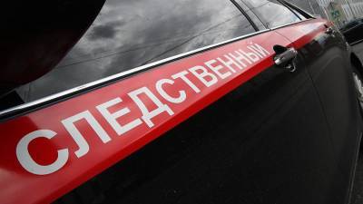 СК возбудил дело после обнаружения погибших при крушении Ми-2 на Камчатке - iz.ru - Камчатский край