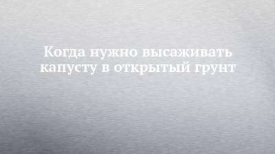 Когда нужно высаживать капусту в открытый грунт - chelny-izvest.ru