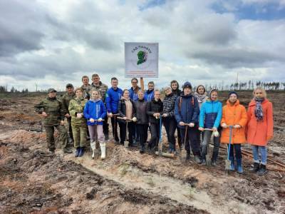 Около 400 тысяч деревьев высадят в Нижегородской области в рамках акции «Сад памяти» - vgoroden.ru - Нижегородская обл.