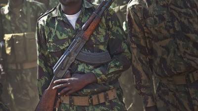 Активность боевиков на севере Мозамбика стала серьезной угрозой... - politnavigator.net - Россия - Пальма - Мозамбик