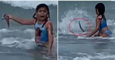 Американка случайно записала видео, как ее 6-летняя дочь спасается от акулы - skuke.net - штат Гавайи