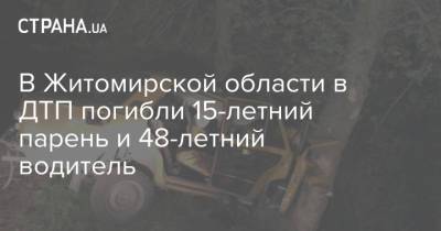 В Житомирской области в ДТП погибли 15-летний парень и 48-летний водитель - strana.ua - Житомирская обл.
